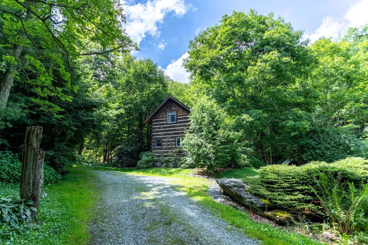 The photo features the log cabin nestled among tall trees, with a gravel driveway leading up to the entrance. The peaceful woodland setting invites families to explore, play, and enjoy the outdoors, reinforcing the cabin's proximity to nature and local adventures.