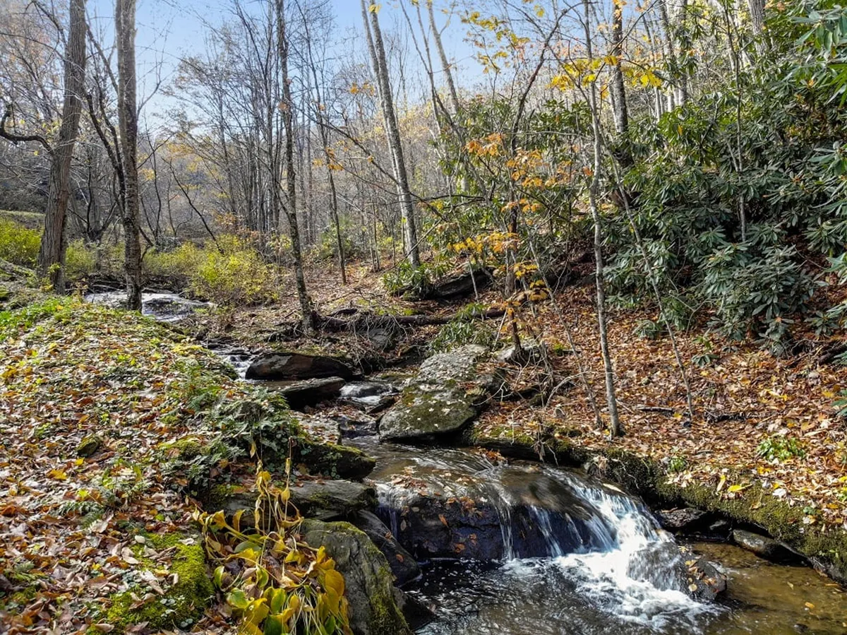 A picturesque view of a flowing creek bordered by trees and colorful fallen leaves. The creek is tranquil, perfect for quiet moments or watching the mist rise in the morning. The natural setting underscores the creekside indulgence and the connection to surrounding nature.